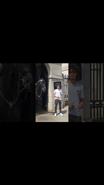 Kings guard horse wants to get tourist #horseguardsparade