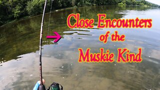 Close Encounters of the Muskie Kind