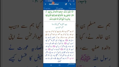 Hadees SHARIF Sahi bukhari SHARIF hadees number #315 in arbic urdu and English language