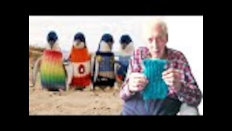 109 year old spent his final years knitting tiny sweaters for injured penguins