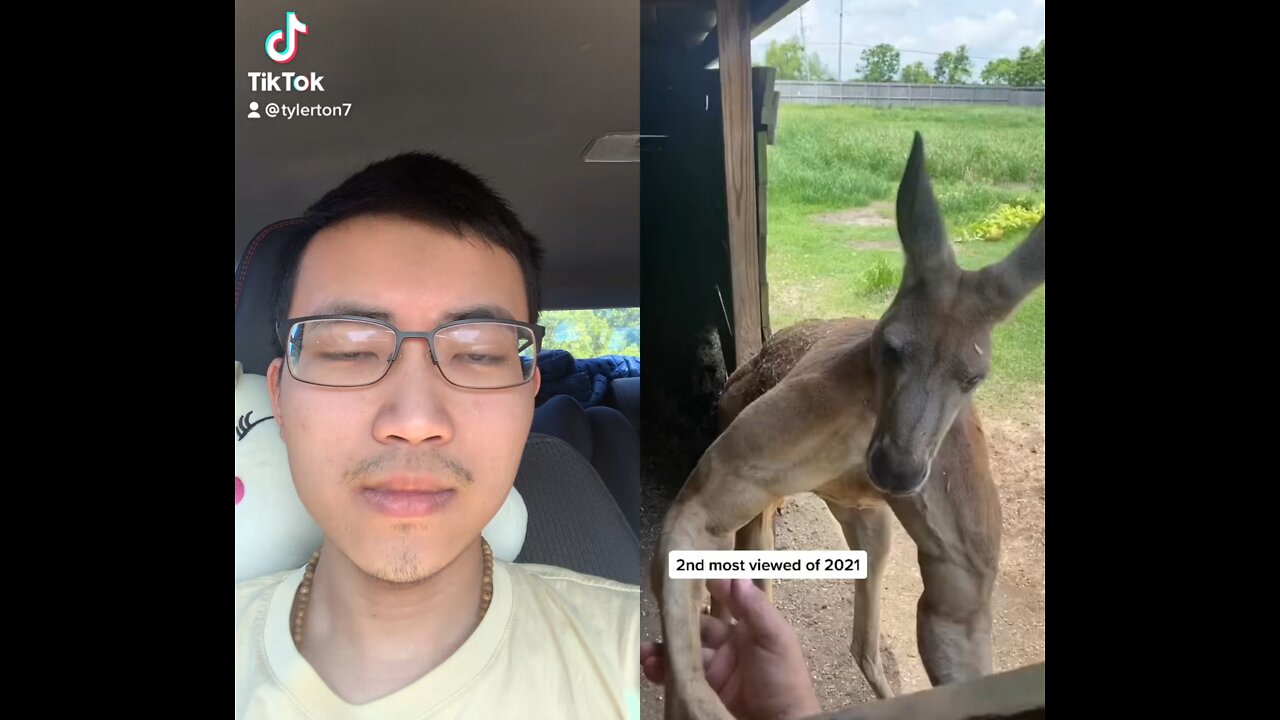 Top viral video on tiktok