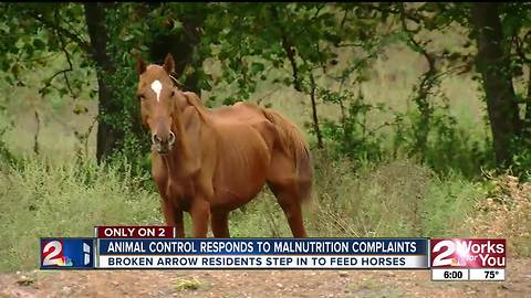 Animal control responds to malnutrition complaints