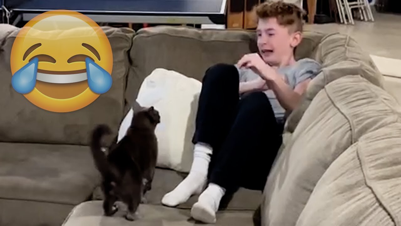 Cats Being JERKS! Savage Cats Attacking People Compilation