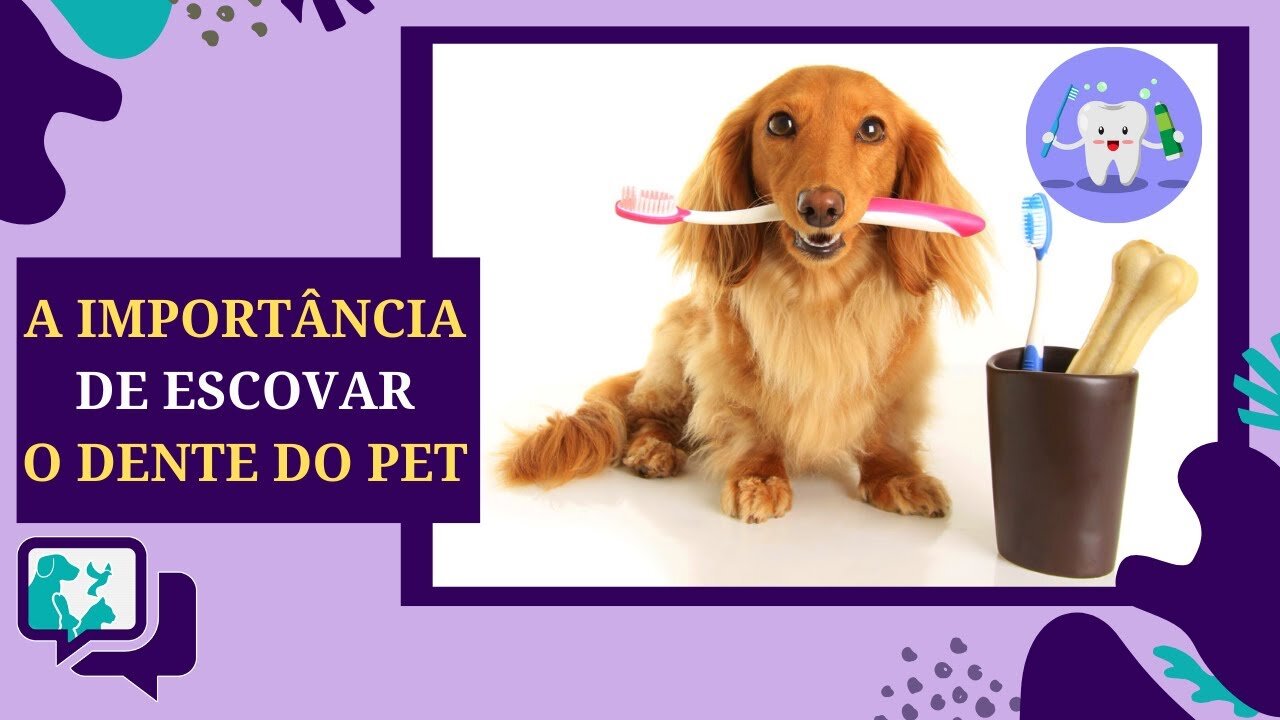 A Importância da Saúde Bucal para Animais de Estimação