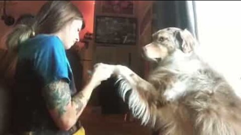 犬だってマニキュアをする権利がある