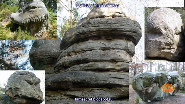 Fossils of giant creatures in France RUS Окаменевшие древние гиганты Франция