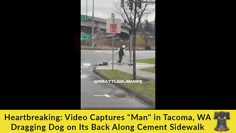 Heartbreaking: Video Captures "Man" in Tacoma, WA Dragging Dog on Its Back Along Cement Sidewalk