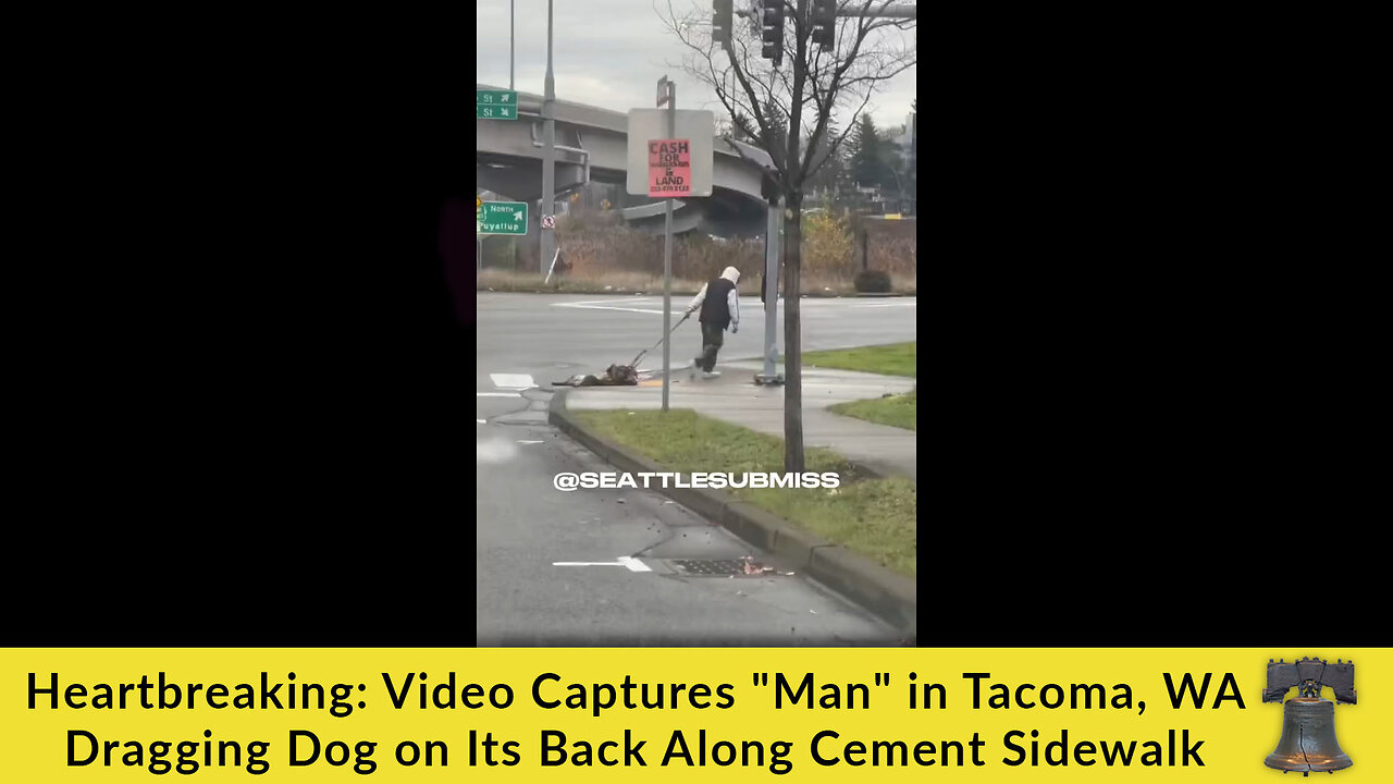 Heartbreaking: Video Captures "Man" in Tacoma, WA Dragging Dog on Its Back Along Cement Sidewalk