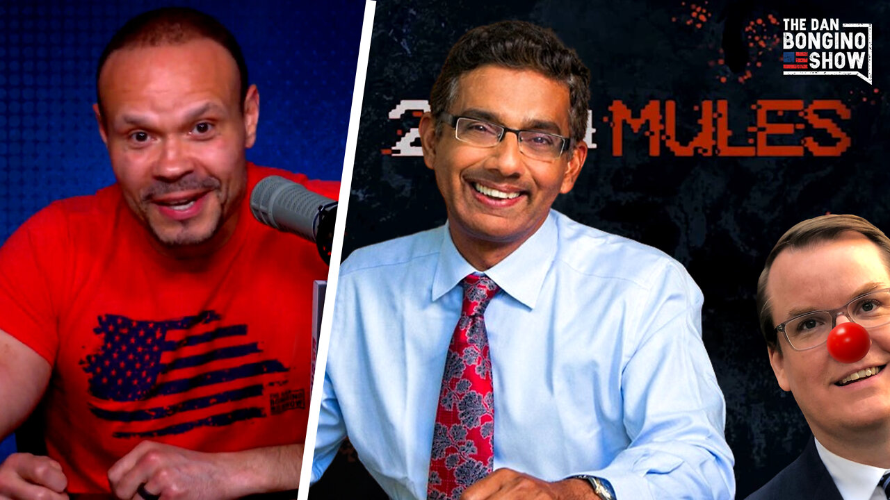 Dinesh D'Souza EMBARASSES Journalist Trying To Discredit 2000 Mules