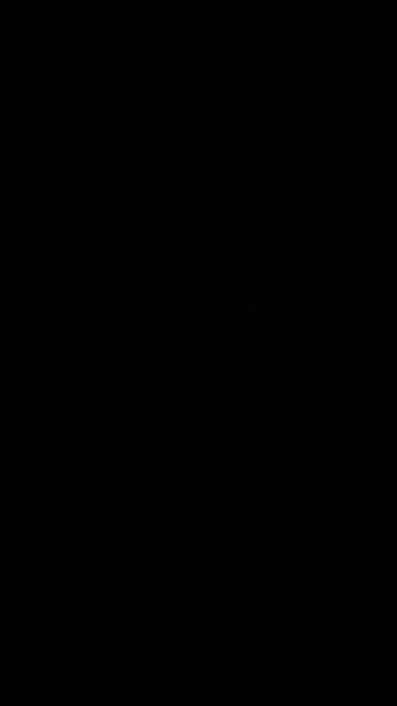 How to pronounce believe