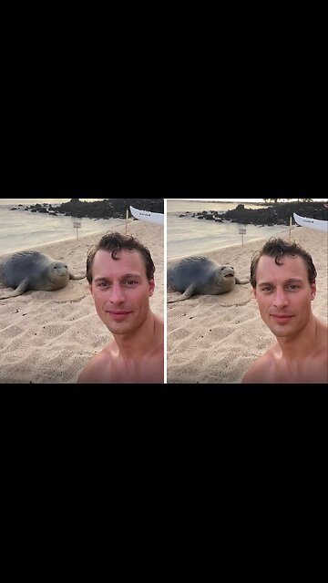 POV: You found a new friend in Hawaii