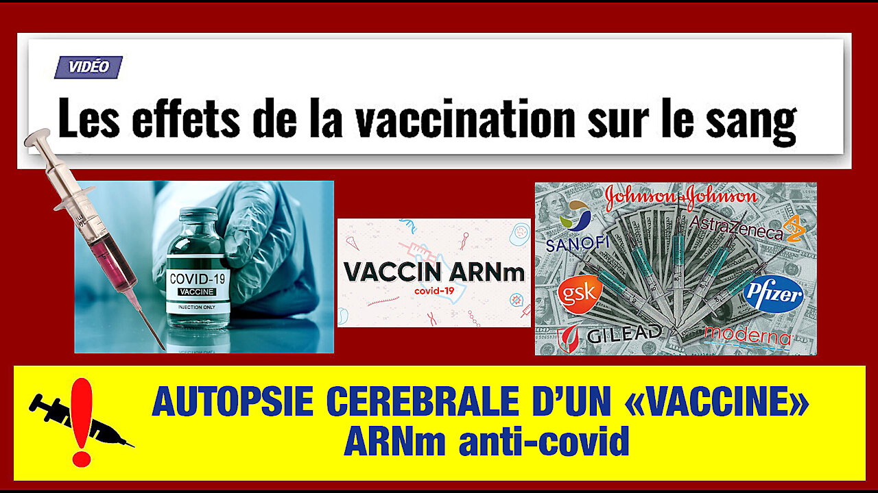 VACCINS ARNm.Les terribles effets de la "spike protein" dans le sang...( Hd 720) Lire descriptif