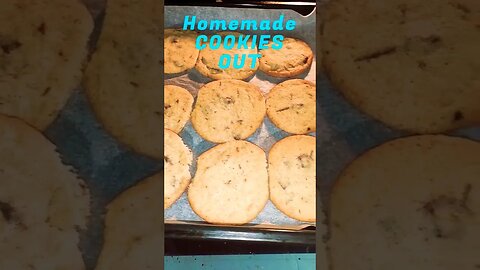 Homemade Cookies In Homemade Cookies Out