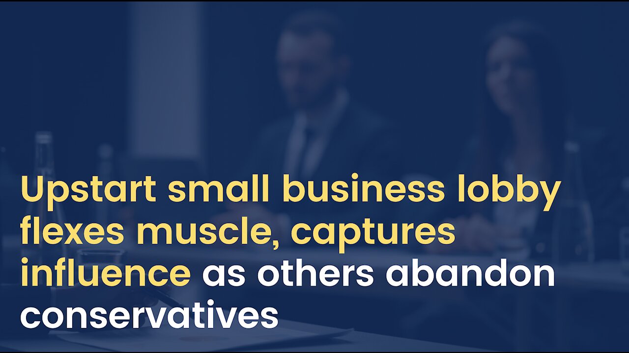 Upstart small business lobby flexes muscle, captures influence