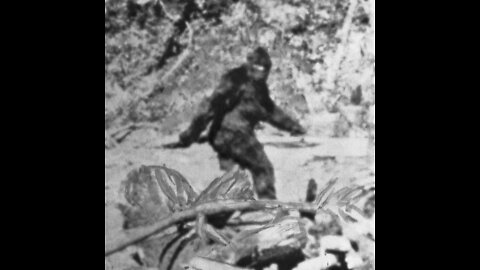 Cryptids part 3