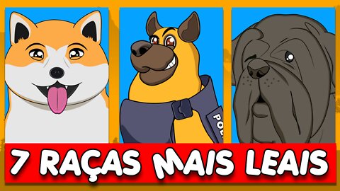 Saiba quais são as 7 Raças de cães mais obedientes e leais!🐾