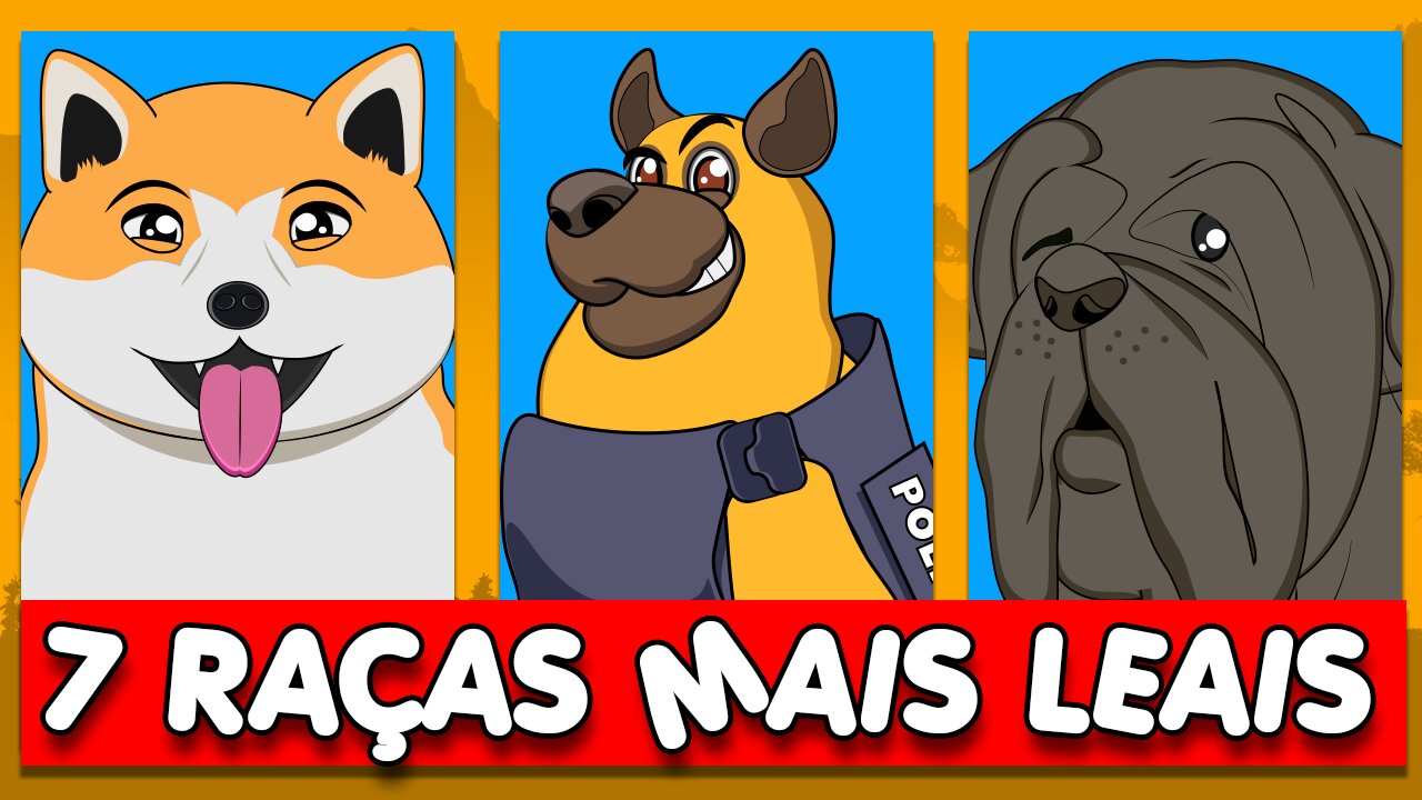 Saiba quais são as 7 Raças de cães mais obedientes e leais!🐾