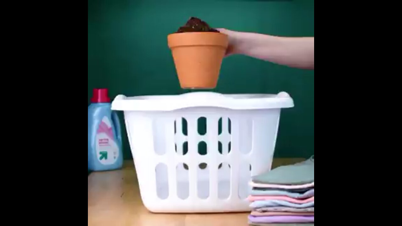 Grow food