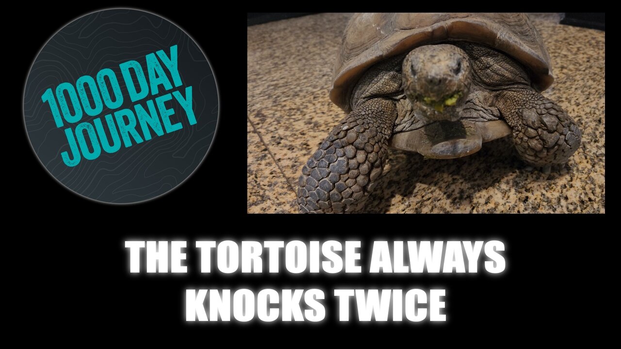 1000 Day Journey 0448 Thew Tortoise Always Knocks Twice