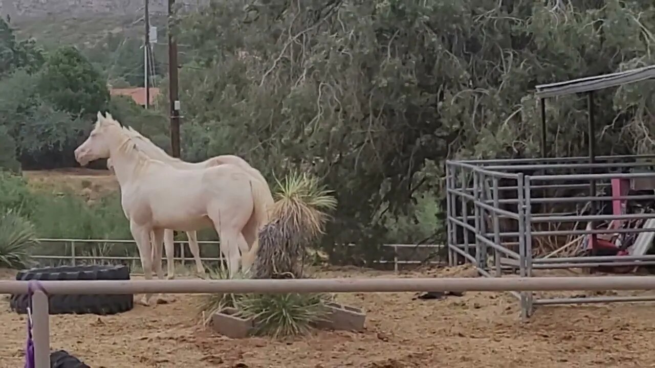 A little rain means fun ...