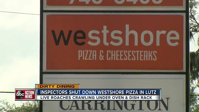 Dirty Dining: Westshore Pizza shut down for live roaches in kitchen & almost 40 violations