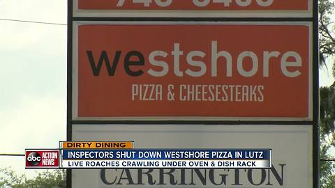 Dirty Dining: Westshore Pizza shut down for live roaches in kitchen & almost 40 violations