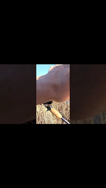 Losing Fishing Lures SUCKS! #shorts