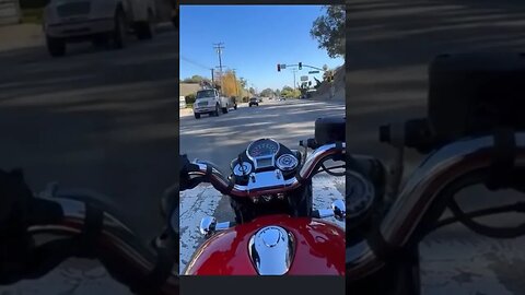 random video found on reddit #reddit #omg