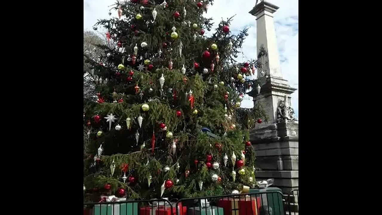 Dead xmas tree hiding Confederate statue at S.C. Capital