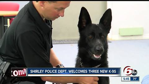 Three new K-9s welcomed to the Shirley Police Department