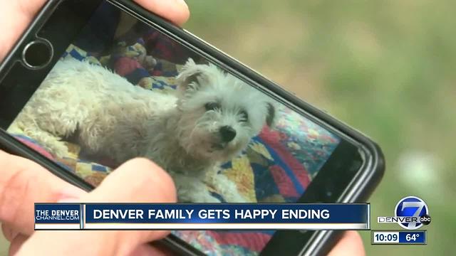 Family reunion for wrongfully claimed lost dog