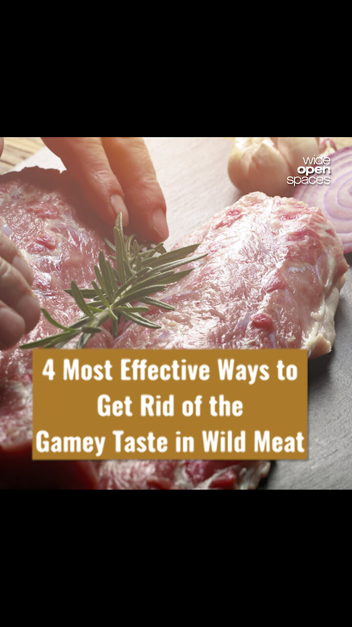 4 Most Effective Ways to Get Rid of the Gamey Taste in Wild Meat
