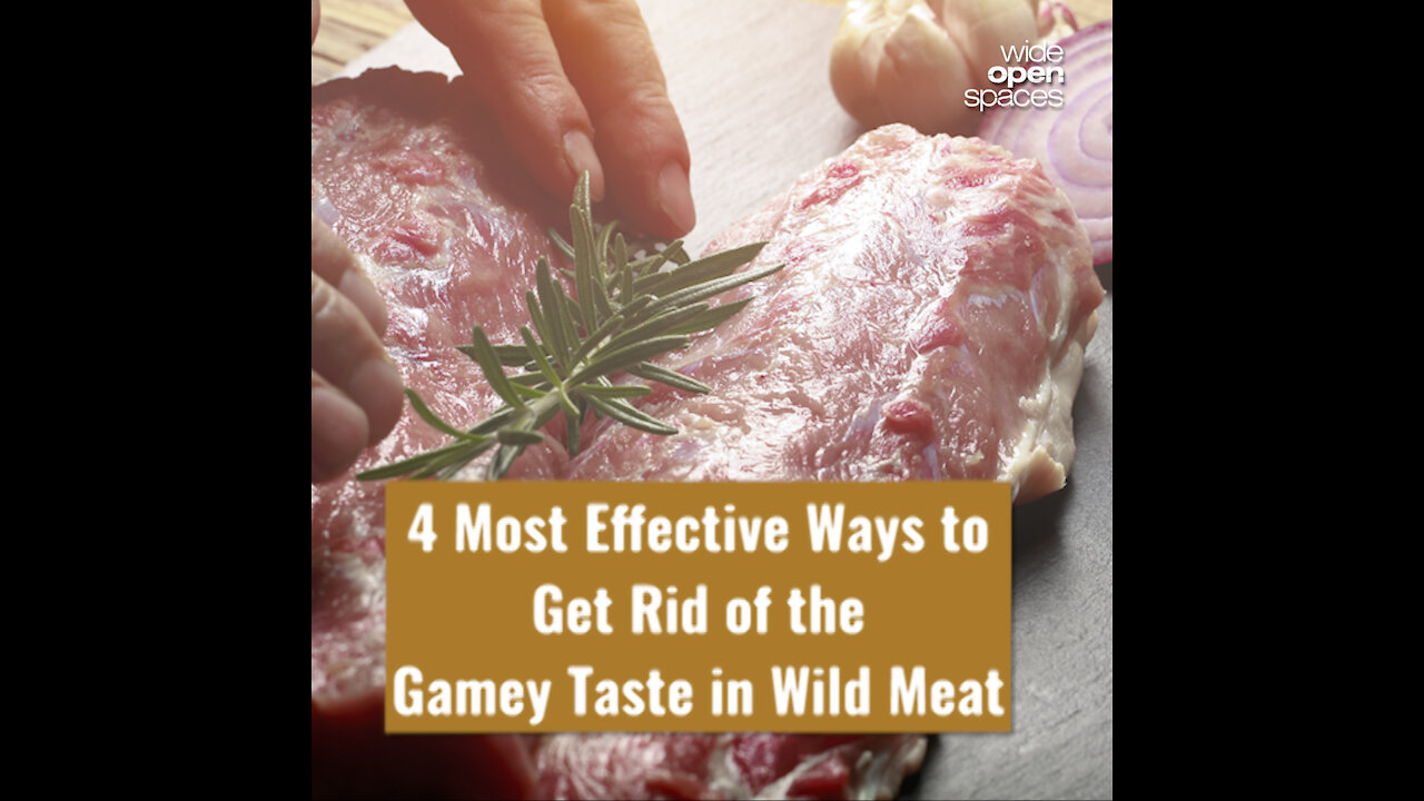 4 Most Effective Ways to Get Rid of the Gamey Taste in Wild Meat