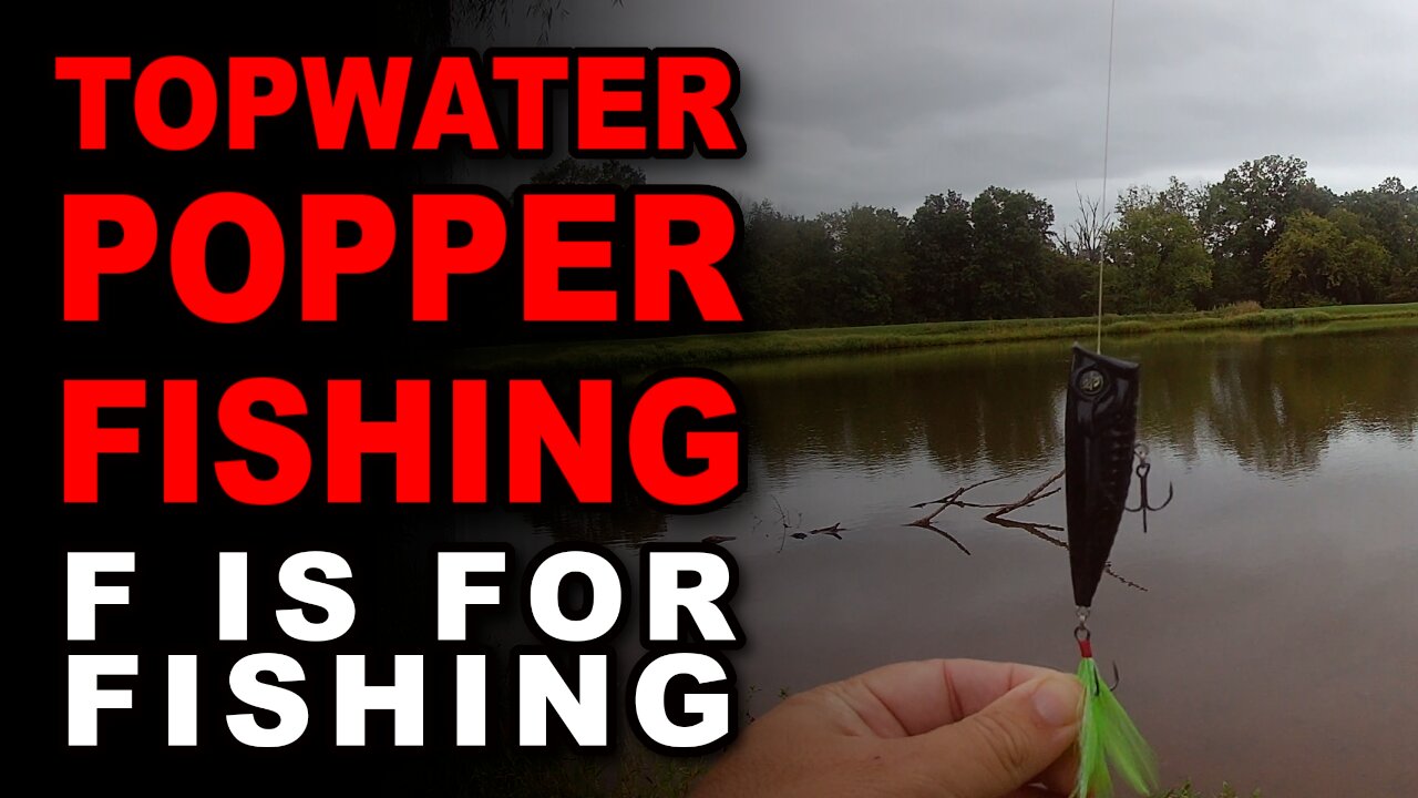 Topwater Popper FIshing