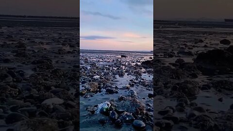 Walk on the beach and before sun goes down.