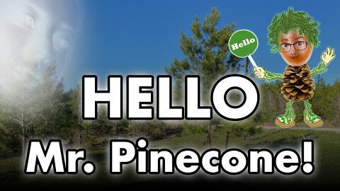 The Larry Seyer Show **Episode 22** - Mr Pinecone is born!