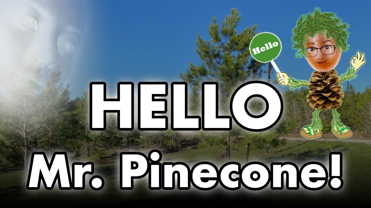 The Larry Seyer Show **Episode 22** - Mr Pinecone is born!