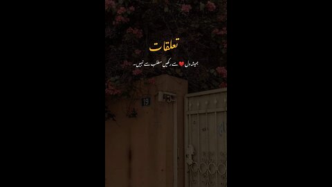 Shan e Ali