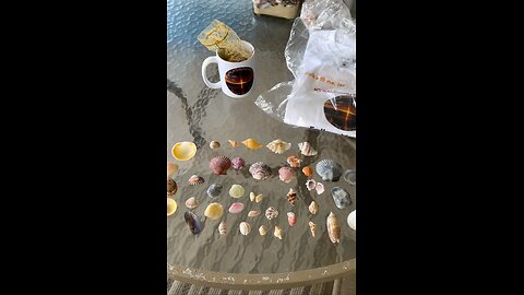 Subscriber Live Giveaway! | 6PM EST 7/7/2024 | 4K