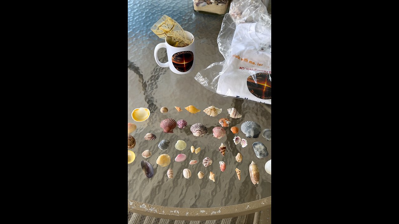 Subscriber Live Giveaway! | 6PM EST 7/7/2024 | 4K