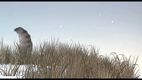 ICE AGE 1-5 All Scrat Movie Clips & Trailers