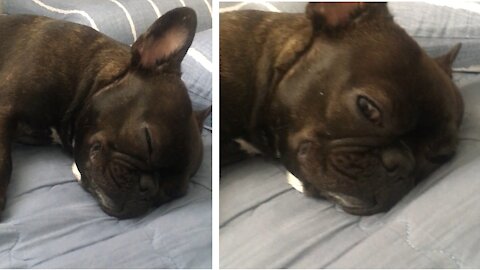 It's best to sleep. I don't know if I wake you up