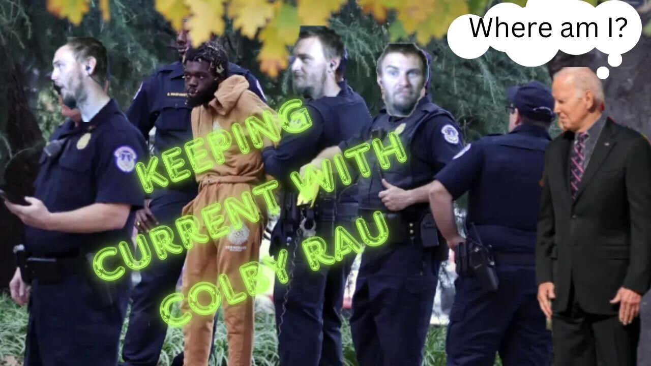 Hide the Homeless and Dish out the Gats
