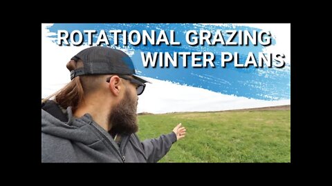 Why Do We Rotationally Graze Our Animals? Winter Is Coming | Moving Sheep, Chickens, and Ducks.