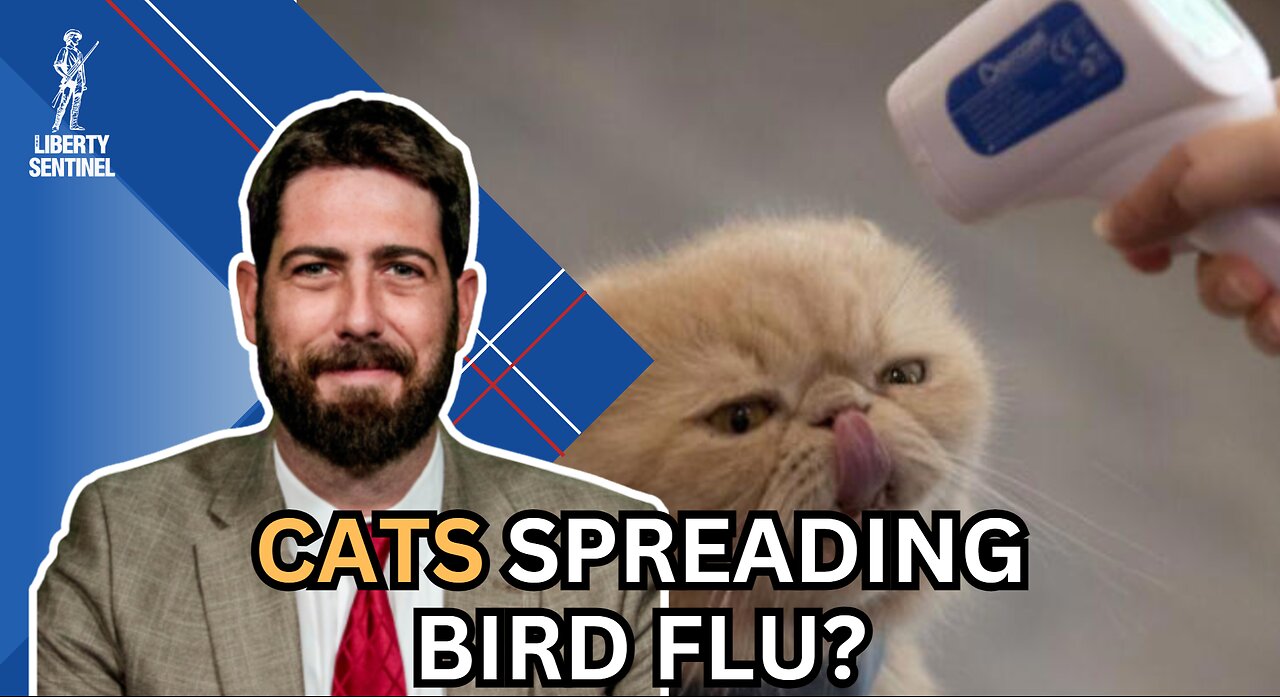 Breaking Down the Bird Flu "Outbreak" and Congress' Battle for Funding