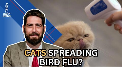 Breaking Down the Bird Flu "Outbreak" and Congress' Battle for Funding
