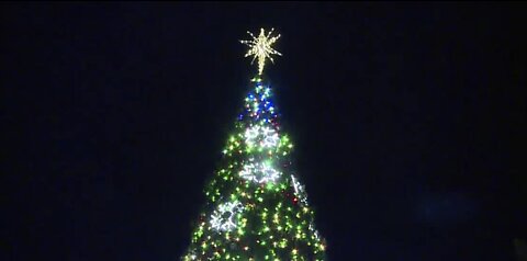 Magical Forest tree lighting ceremony