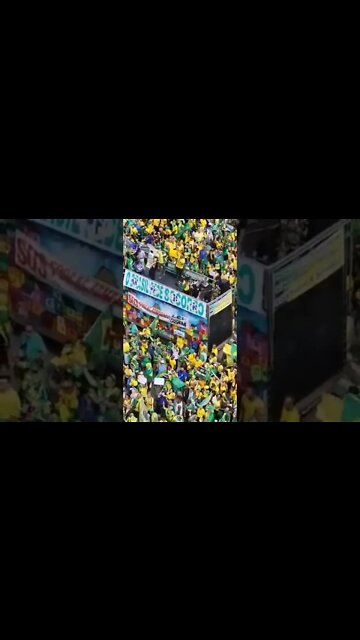 o Brasil pede socorro, please que need help in Brazil look this peaple