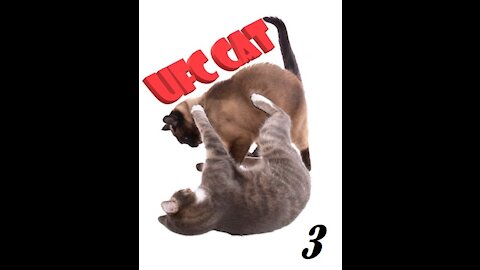 UFC CAT, #3