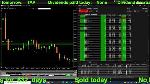 Live Trading, Crypto, Stocks